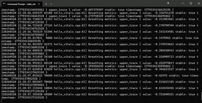 SmartSpectra C++ Windows quickstart demo